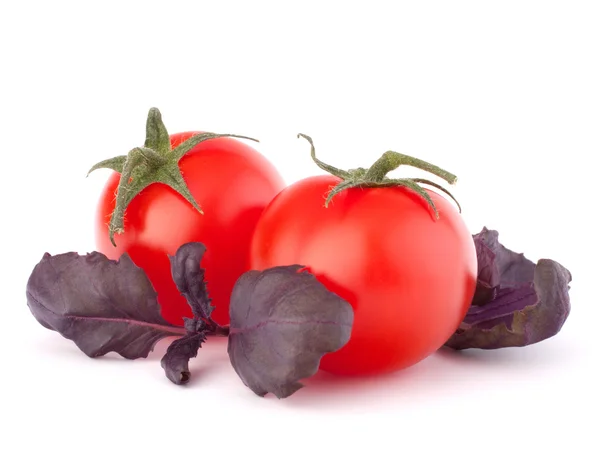 Черри помидор и базилик оставляет натюрморт — стоковое фото