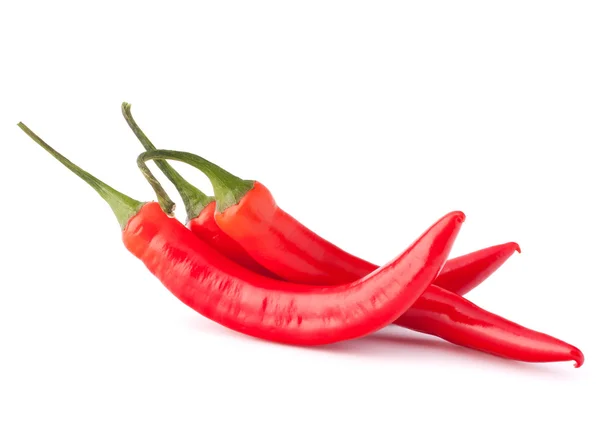 Varm röd chili eller chilipeppar — Stockfoto