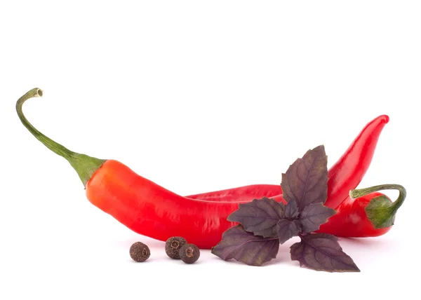 Gorący czerwony chili lub pieprz chili i bazylią pozostawia martwa — Zdjęcie stockowe