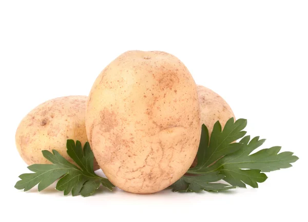 Листя картоплі та петрушки — стокове фото