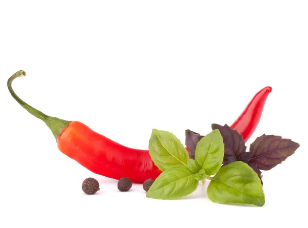 Varm röd chili eller Chili peppar och basilika blad stilleben — Stockfoto