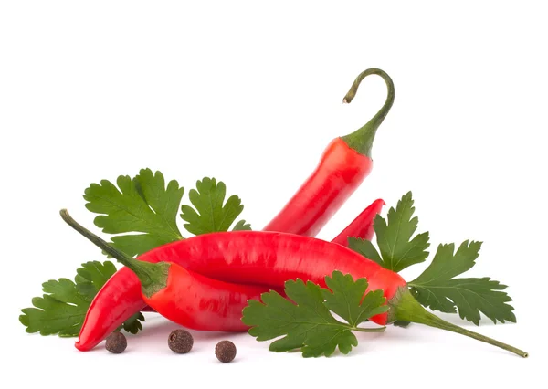Pimenta vermelha quente ou pimenta e folhas de salsa ainda vida — Fotografia de Stock
