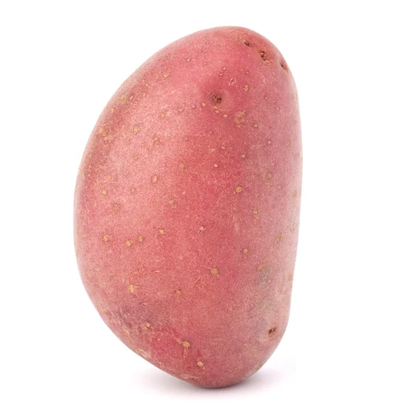 Yeni patates yumru — Stok fotoğraf