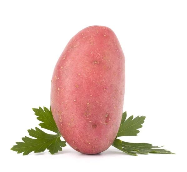 Yeni patates yumru ve maydanoz yaprakları — Stok fotoğraf