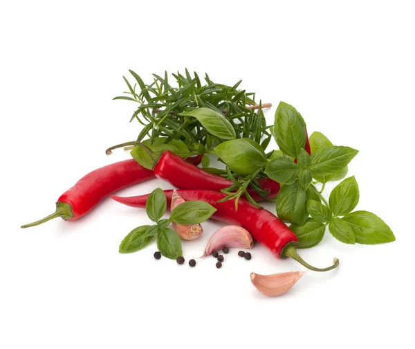 stock image Chili pepper and flavoring herbs