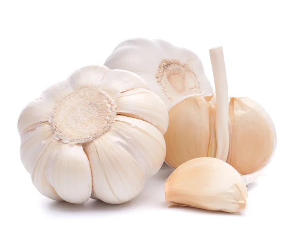 stock image Garlic bulb