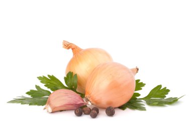 Onion and garlic clove