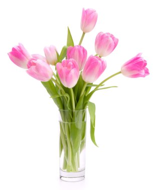 Pink tulips bouquet in vase isolated on white background clipart