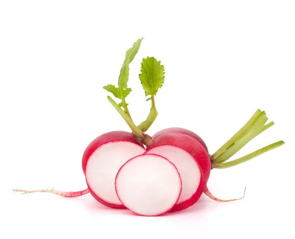 stock image Small garden radish