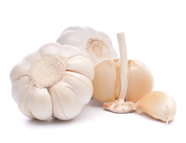 stock image Garlic bulb