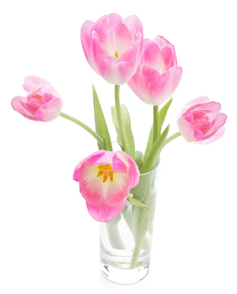 Tulipani rosa bouquet in vaso isolato su sfondo bianco — Foto Stock