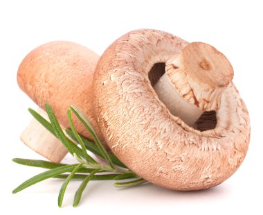 Brown champignon mushroom and rosemary leaves clipart