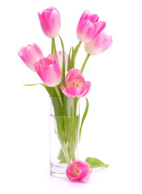 Pink tulips bouquet in vase isolated on white background clipart