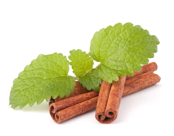 stock image Cinnamon sticks and fresh mint leaf