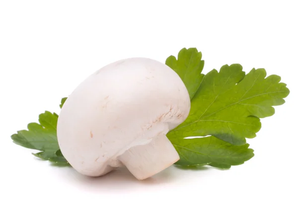Biały grzyb i Pietruszka liście — Zdjęcie stockowe