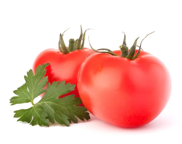 Två Tomat grönsaker och persilja lämnar stilleben — Stockfoto