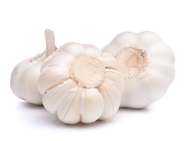 stock image Garlic bulb