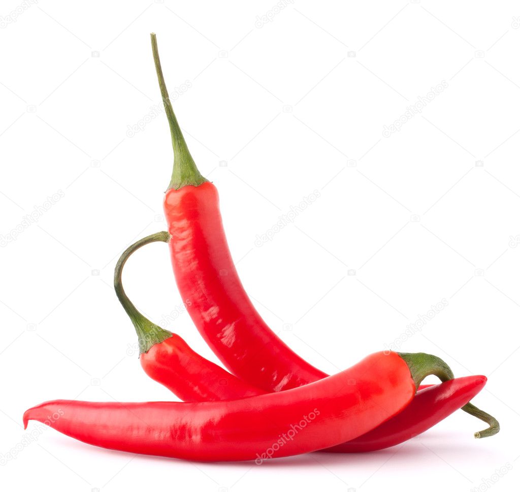 Hot red chili or chilli pepper still life