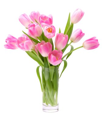 Pink tulips bouquet in vase isolated on white background clipart