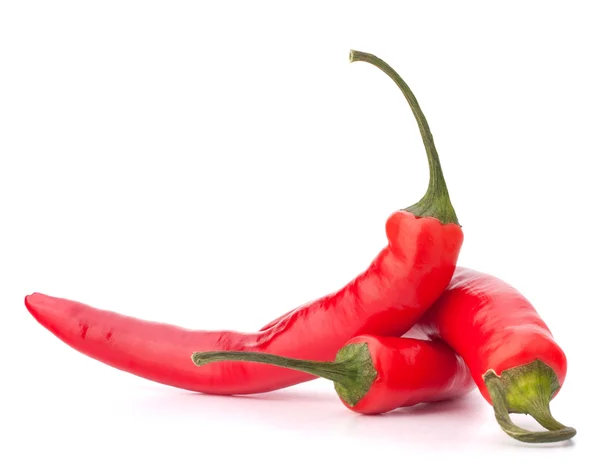 Hot red chili or chilli pepper — Stock Photo, Image