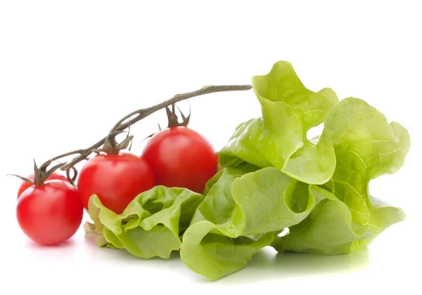 stock image Fresh lettuce salad leaves bunch and cherry tomato