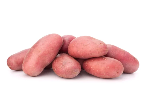 Nuovo cumulo di tuberi di patata — Foto Stock