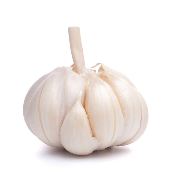 stock image Garlic bulb