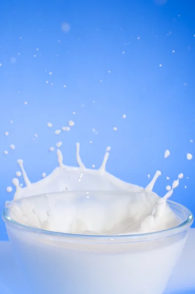 Süt sıçrama yakın çekim — Stok fotoğraf
