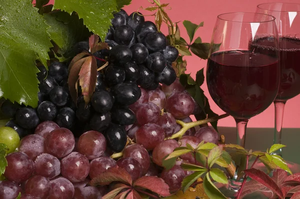 Rött vin och druvsaft närbild — Stockfoto