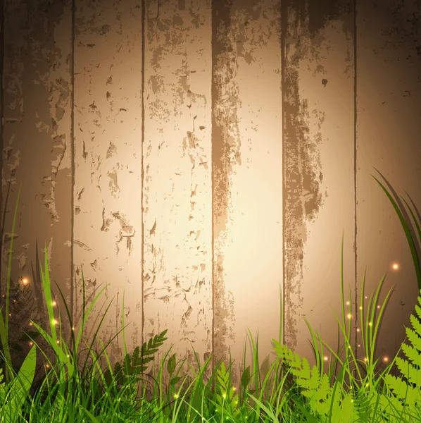 木製の背景上のマジック草 — ストックベクタ