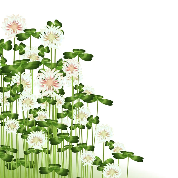 Fleurs de trèfle — Image vectorielle