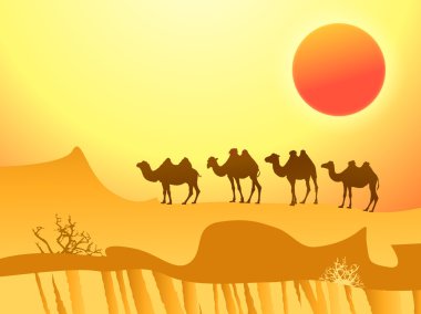 Camels in the desert clipart