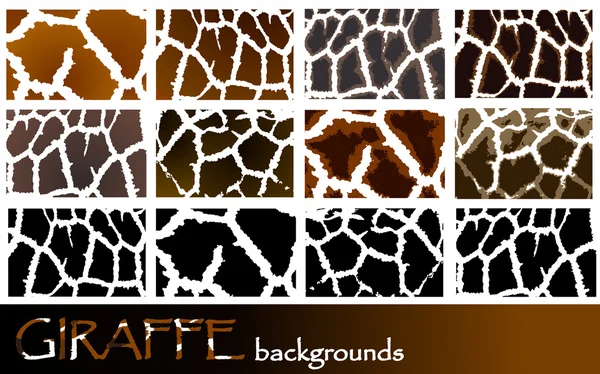 Giraffe patroon achtergronden — Stockvector