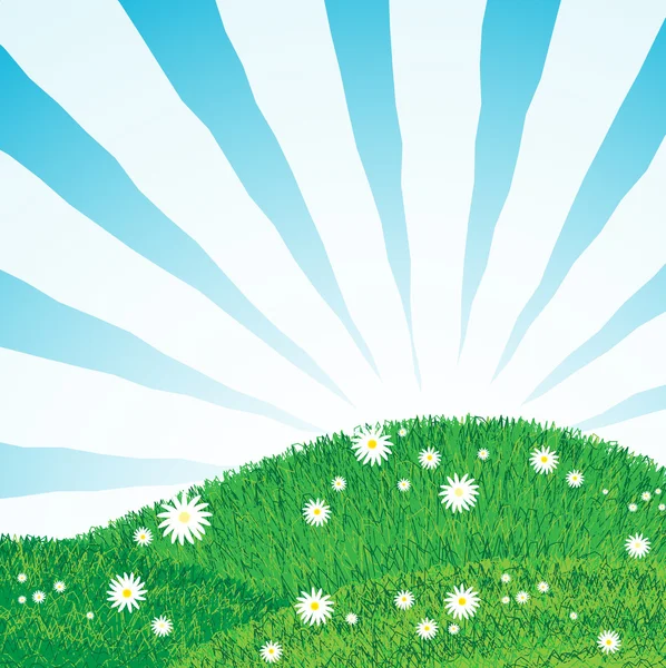太陽光線が付いている芝生 — ストックベクタ