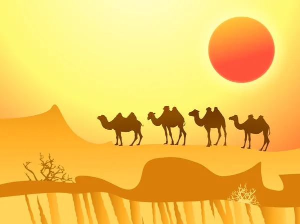 Camels in the desert — Stock Vector