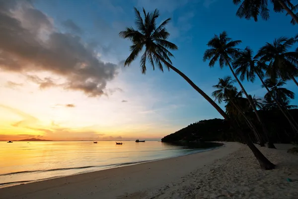 Prachtige zonsopgang op het strand met palmen — Stockfoto
