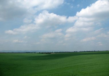 green field and clouds sky