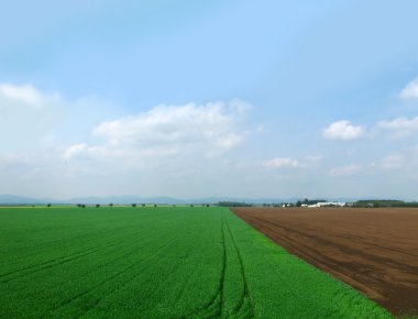 yeşil alan, kara kara ve bulutlar gökyüzü