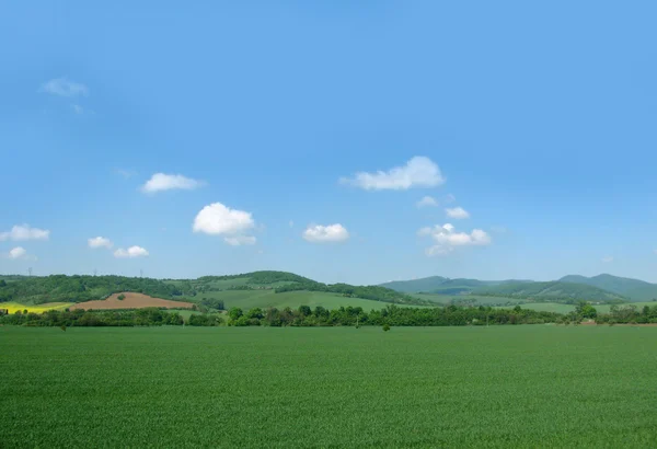 Fields and mountains landscape — Stock Photo, Image