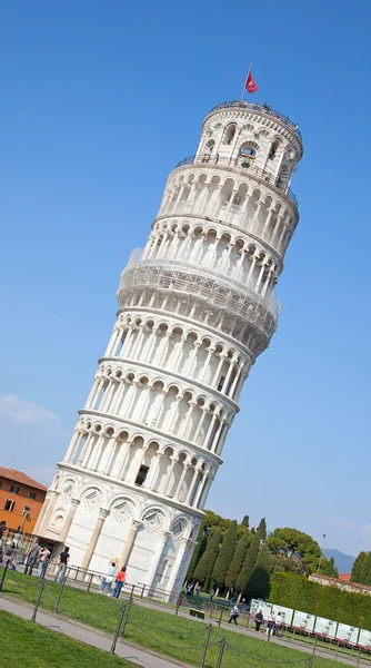 Pisa torony — Stock Fotó
