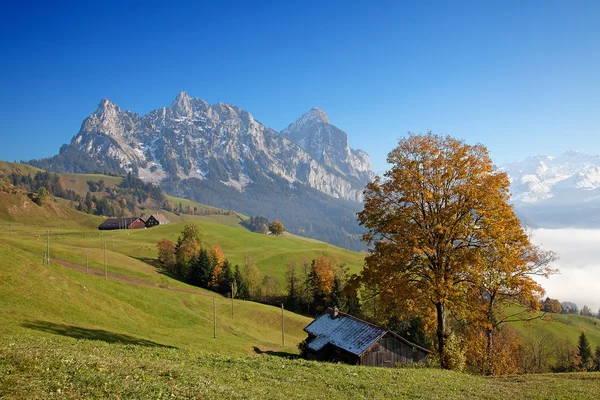 Hösten i Alperna — Stockfoto