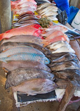 Maputo Balık pazarı