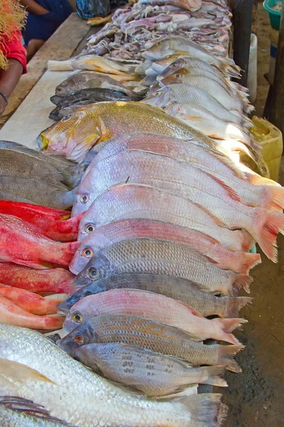 Mercato del pesce Maputo — Foto Stock