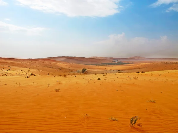 Deserto arabo — Foto Stock