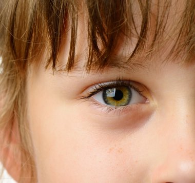 Children eye closeup clipart