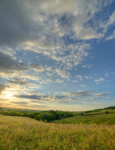 Die Landschaft des Feldes mit spektakulärem Himmel — Stockfoto