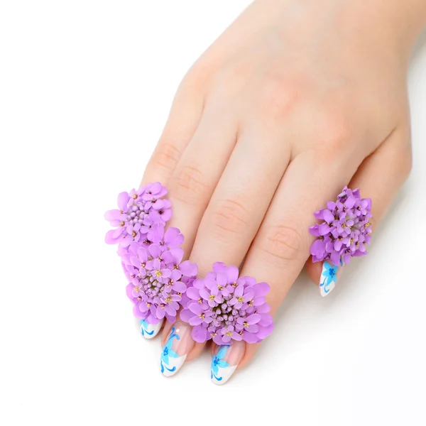 Nagelkunst und Blume — Stockfoto