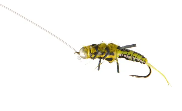 Fly fishing lure wasp — Stock Photo, Image