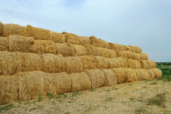 Large haystacks — Stock Photo, Image