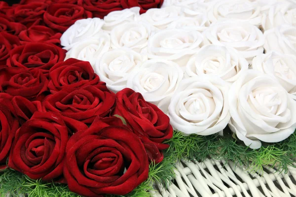 Rosas vermelhas e brancas — Fotografia de Stock